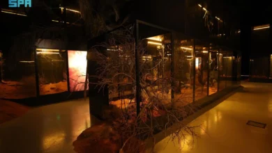 Photo of المتحف السعودي للفن المعاصر في جاكس يستضيف معرض بينالسور بنسخته الثالثة