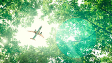 Photo of  أول تقرير للاستدامة في طيران ناس يكشف انخفاض الانبعاثات الكربونية 161 ألف طن بما يعادل زراعة 6.5 مليون شجرة